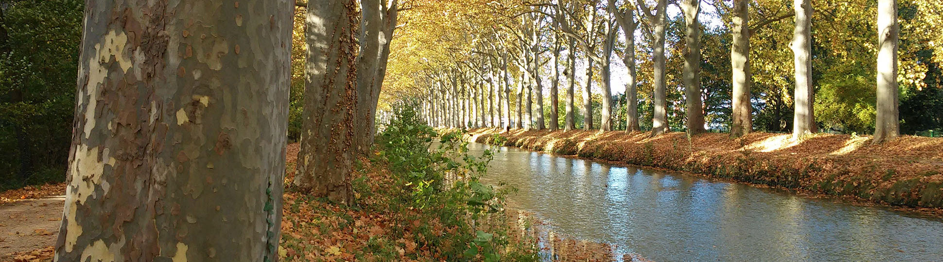 Canal du Midi Canal du Midi